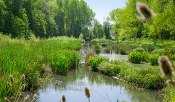 Uitbreiding onttrekkingsverbod voor onbevaarbare waterlopen