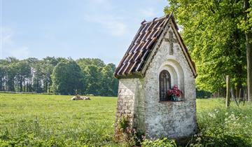 Churches & chapels