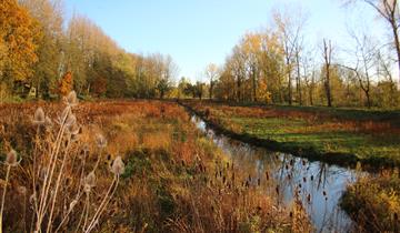 The Bettelhovebeek reservoir