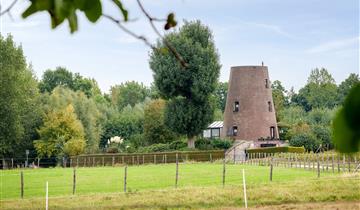 The ‘Nieuwpoortmolen’ windmill